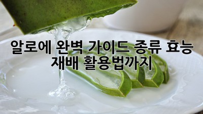 알로에 완벽 가이드: 종류, 효능, 재배, 활용법까지!