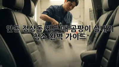 안동 정상동 찌든 때, 곰팡이? 실내외 청소 완벽 가이드!