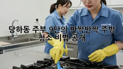 당하동 주부 9단의 ✨반짝반짝✨ 주방 청소 비법 공개! 🤫